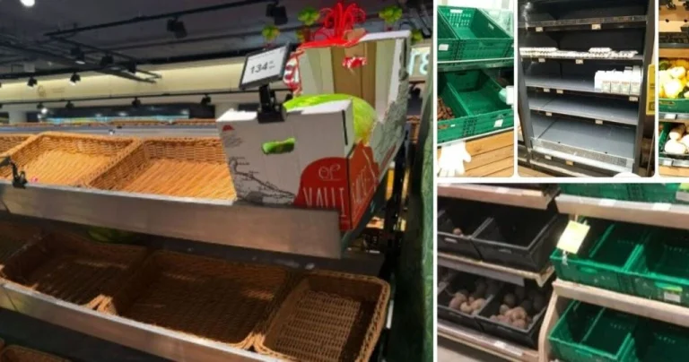 У «Форі» спорожніли полиці: у мережі пояснили, куди зникли продукти